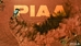 PIAA RF3 Video Image