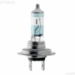 H7 Night Tech Single Halogen Bulb - 70785
